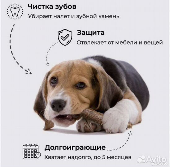 Лакомство для собак (рога оленя, рога лося)