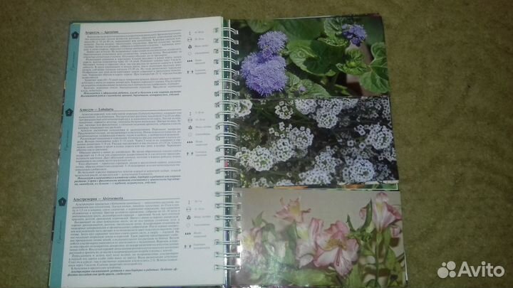 Миллион цветов на вашем участке