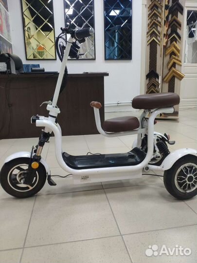 Электрический трицикл