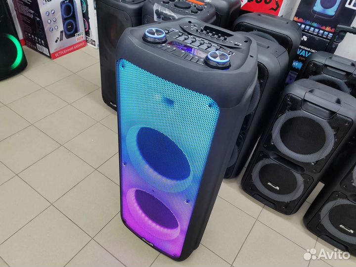 Колонка Eltronic 20-56