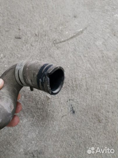 Патрубок системы охлаждения Ford Focus 2