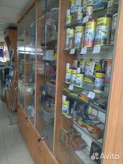 Компаньон на отдел «Аквариумные рыбки»