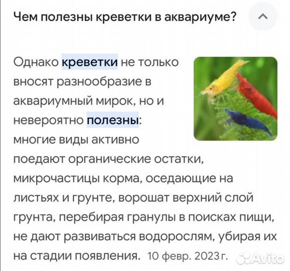 Креветки Вишня