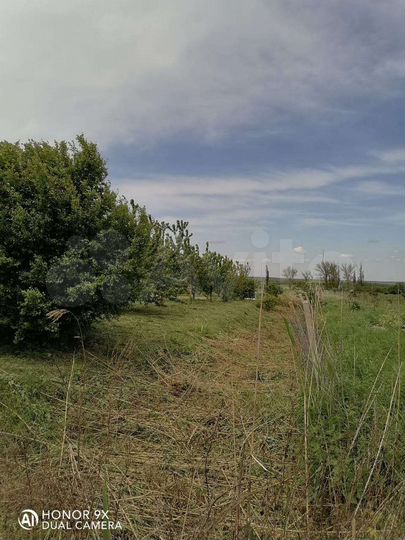 Участок 18 сот. (СНТ, ДНП)