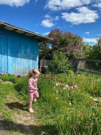 Дом 60 м² на участке 40 сот.