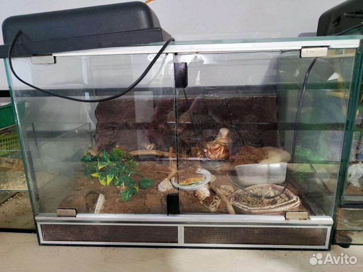 Террариумы