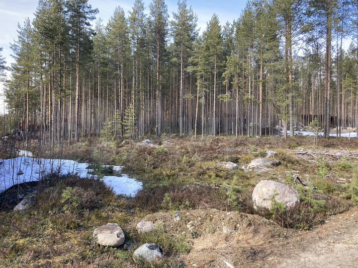 Дом 200 м² на участке 9 сот.