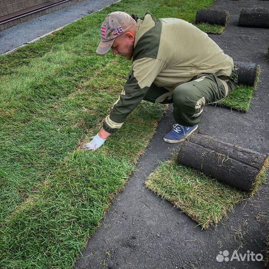 Работник зеленого хозяйства, садовник (без опыта)