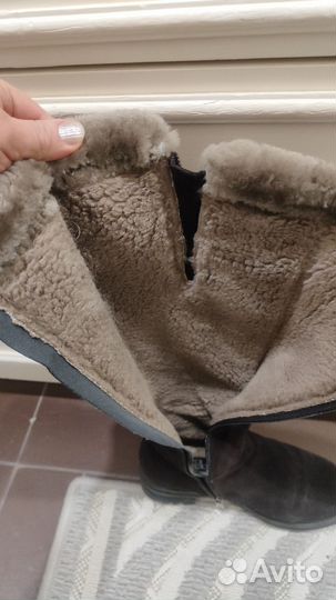 Зимние женские сапоги 38 натуральная замша