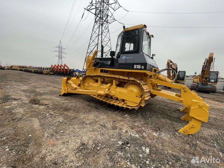 Beezone D16-5, 2024