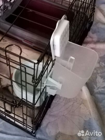 Автоматическая кормушка для домашних животных