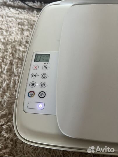 Принтер мфу hp 3636