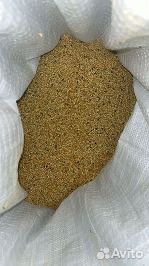 Пыльца пчелиная 2024