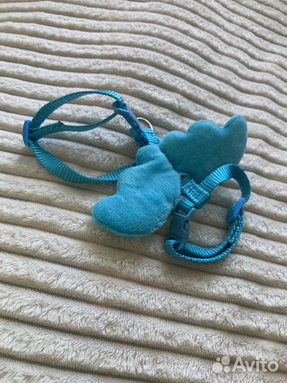 Шлейка для котенка