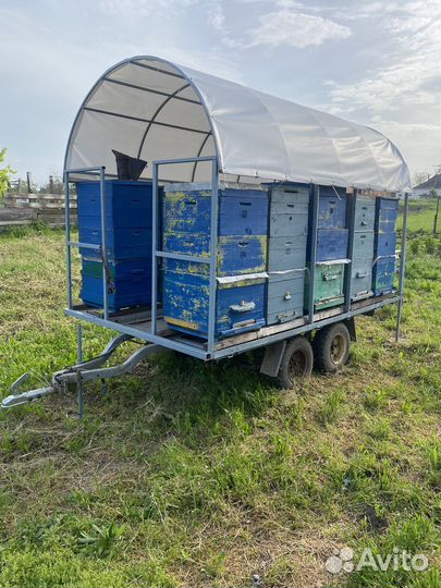 Пчеловодческий прицеп