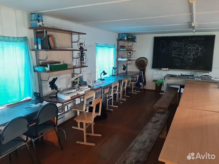 Репетитор по биологии (подготовка к егэ/огэ)