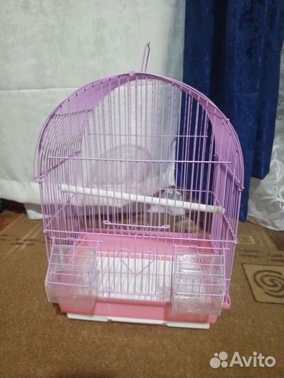 Клетка для волнистого попугая