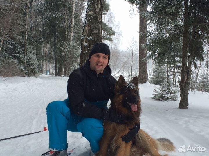 Грузоперевозки Ярославль-Москва