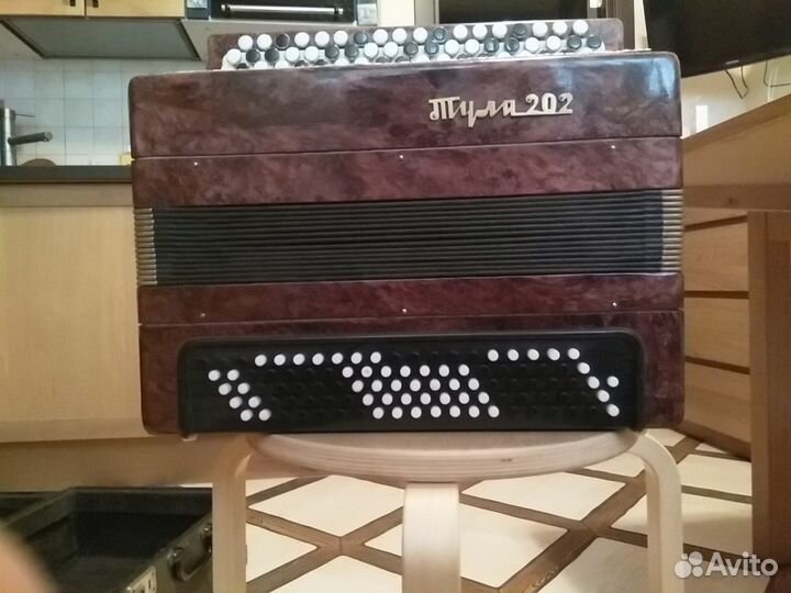 Баян Тула 202