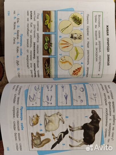 Азбука, Мир вокруг нас