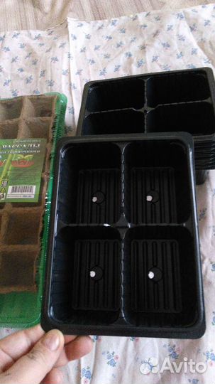 Для рассады. Новое