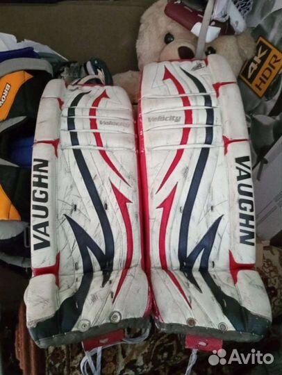 Vaughn v4