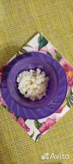 Тибетский молочный гриб (кефирный гриб)