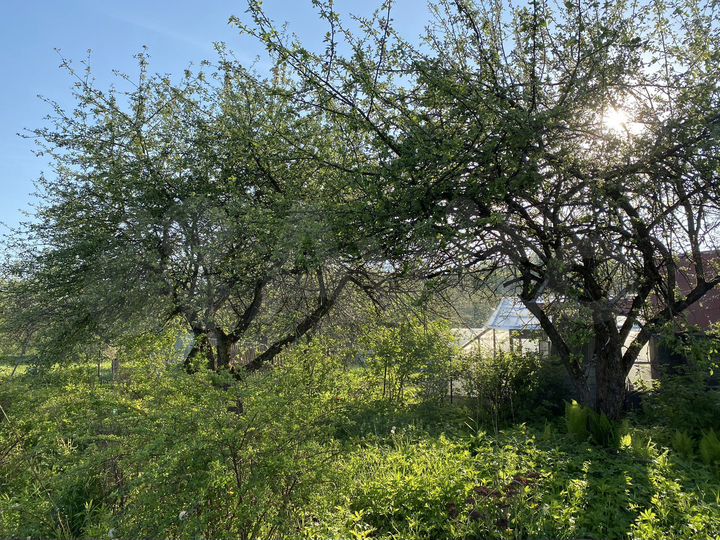 Дача 20 м² на участке 6 сот.