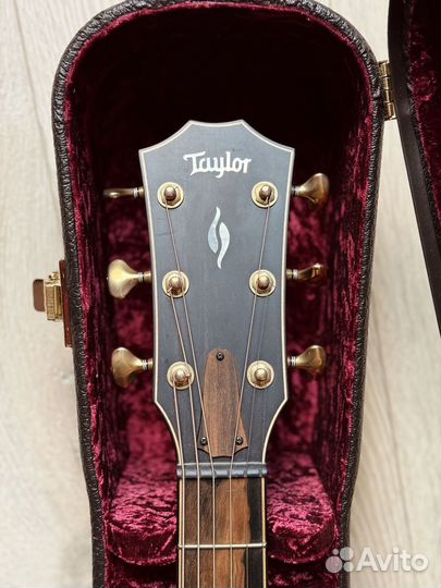 Taylor 816ce Builder’s Edition