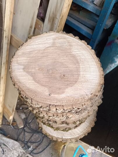 Торцевой спил дерева