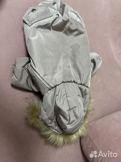 Куртка для собак мелких пород