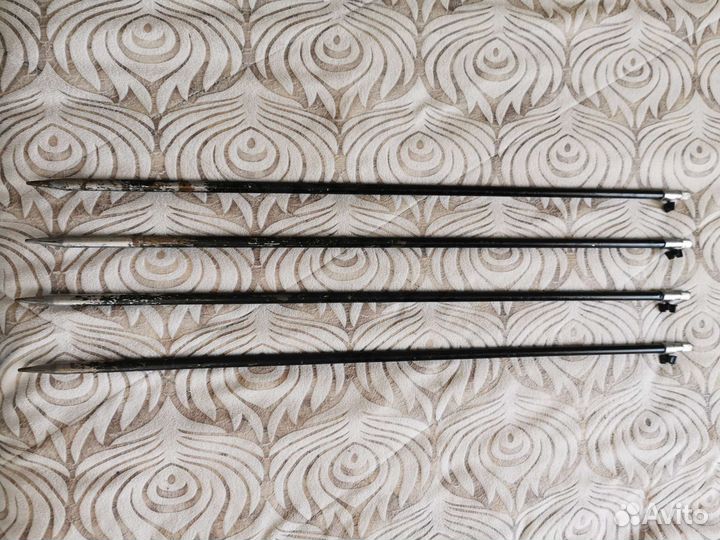 Карповые пренадледности