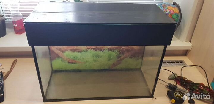 Аквариум