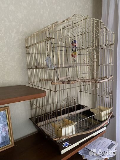 Клетка для крупного попугая