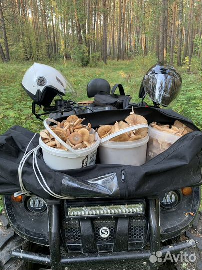 Квадроцикл Stels 500gt