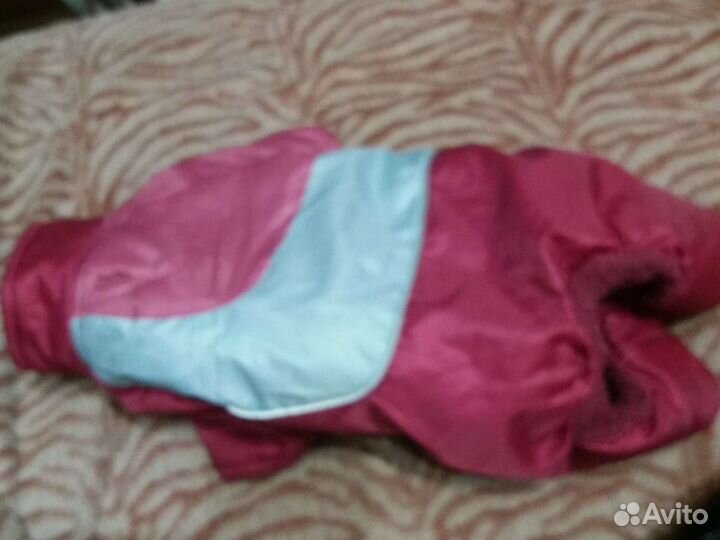 Одежда для собак,кошек