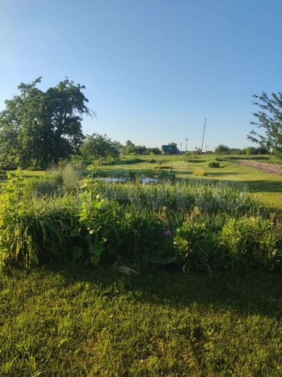 Участок 24 сот. (ИЖС)