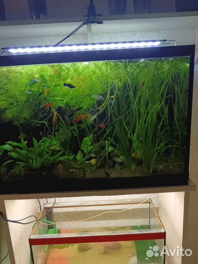 Аквариум с тумбой