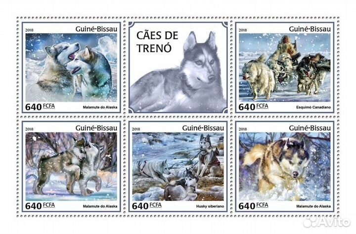 Гвинея-Биссау, 2018. (gb18405) Фауна, ездовые соба