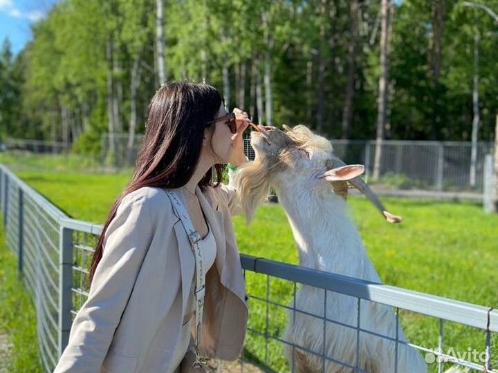 Экскурсия — Сортавала — Карельский зоопарк и прогу