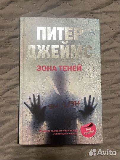 Роман Зона теней
