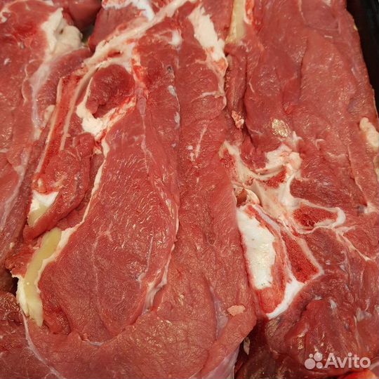 Говядина домашняя