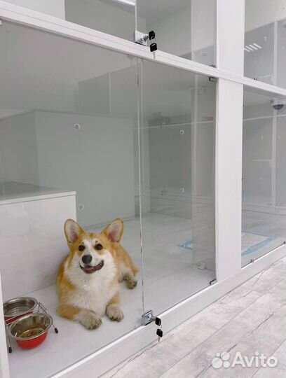 Гостиница для животных