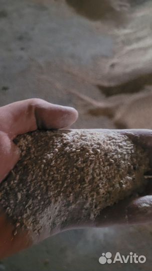 Дробленка пшеницы