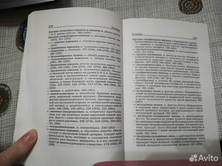 Анатомия человека. Карманный атлас