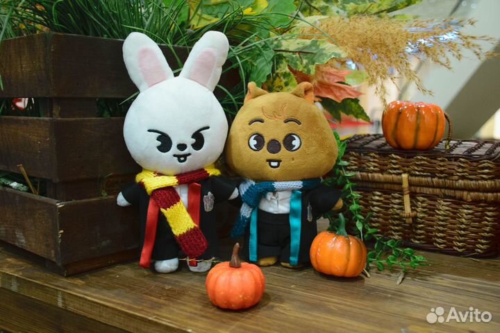 Одежда для skzoo