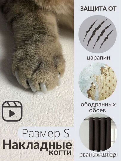 Товары для котов