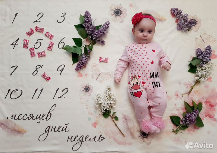 Фотоплед+карточки