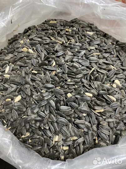 Семечки подсолнечника мешком для птиц