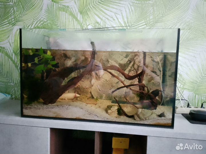 Аквариум